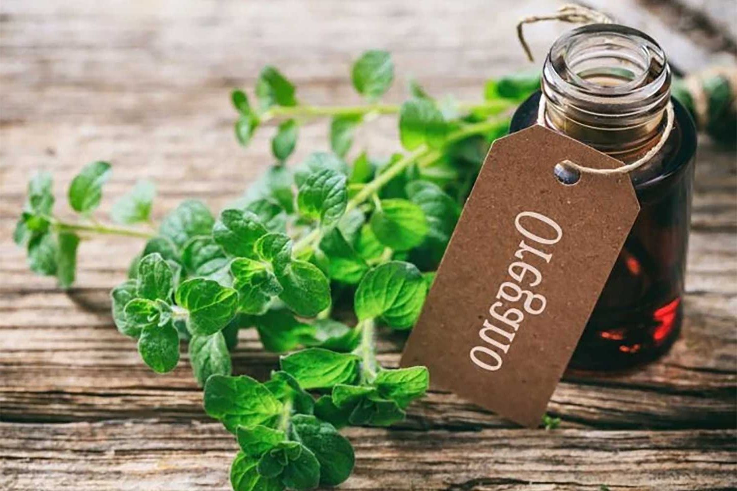 Supercritical CO2 Extraction Method for Oregano Essential Oil